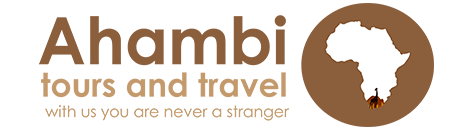 Ahambi Tours and Travel