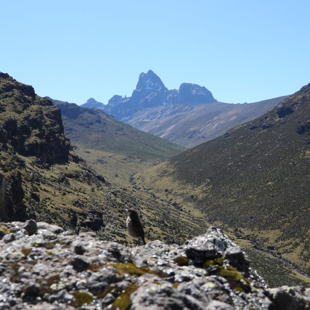3-Day Mount Kenya Hike Itinerary
