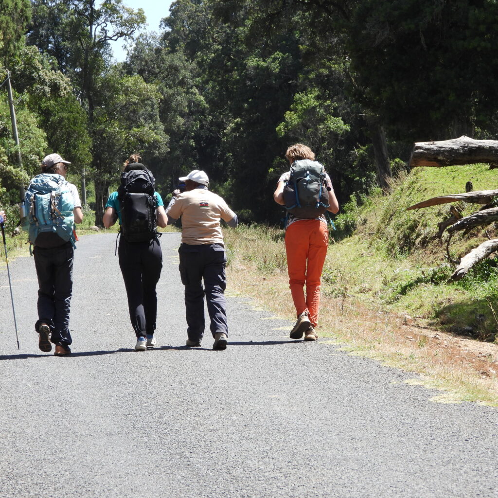 Sirimon Route trek on Mount Kenya through rainforest with views towards Old Moses Camp