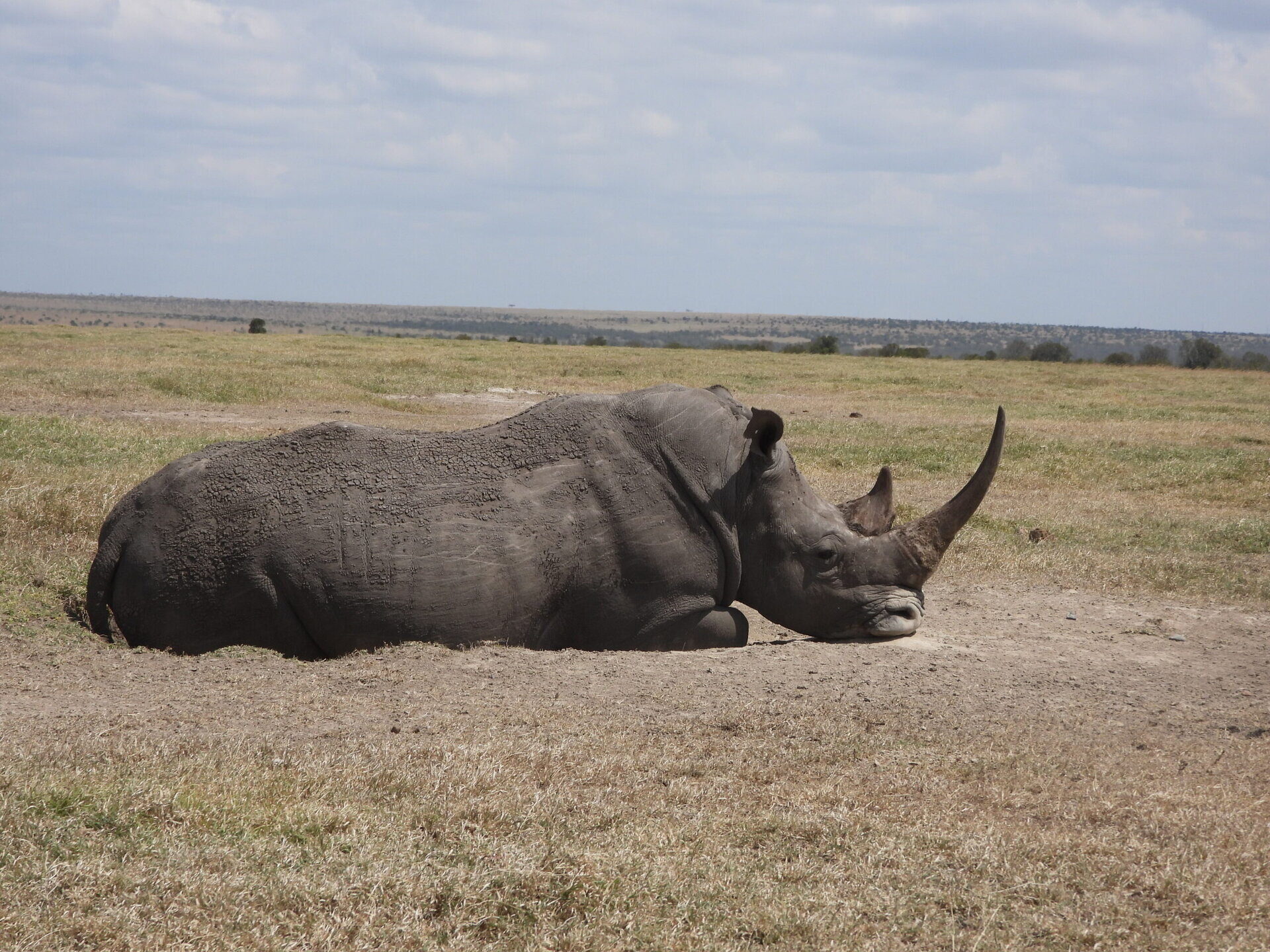 10 Days Kenya Wildlife Safari 10 Days Kenya Wildlife Safari