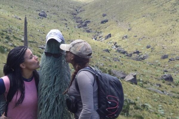 Mt. Kenya Hikes