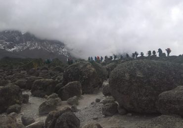 Mt. Kilimanjaro Hikes