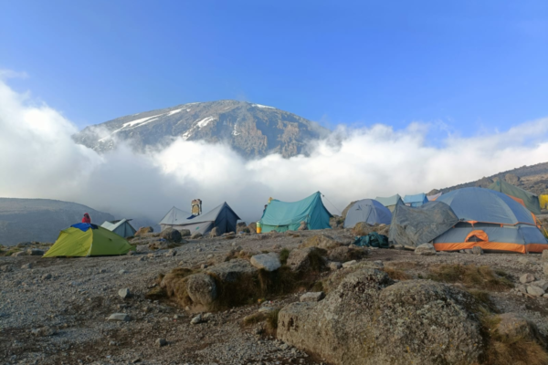 6 Days Kilimanjaro Trekking via Machame Route