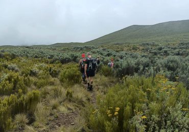 Mount Kenya Hikes