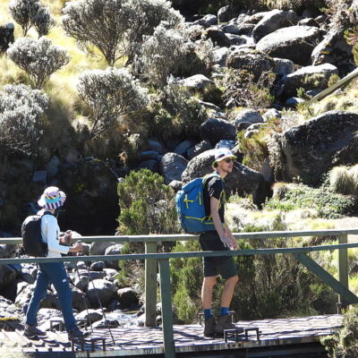 Two trekkers crossing a wooden footbridge through the heath zone on the Sirimon Route Mount Kenya group trek