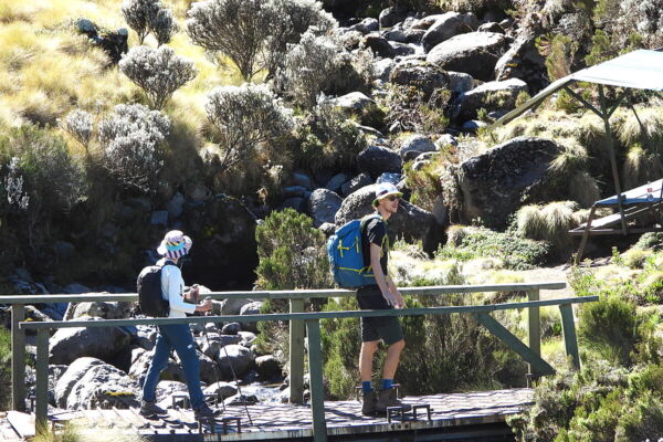 Mount Kenya Group Trek 5 days