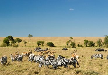 The Masai Mara National Reserve