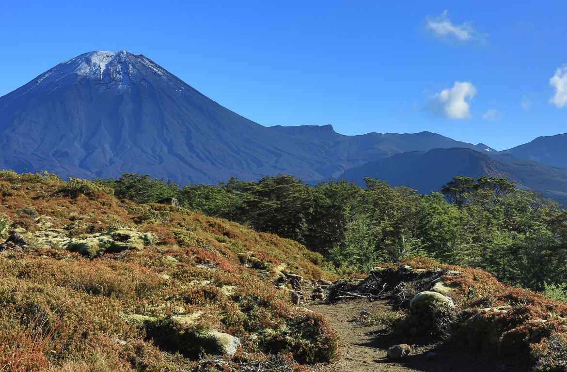 Northern Circuit Route - Mount Kilimanjaro Climbing Routes