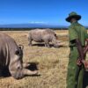 Ol Pejeta Conservancy