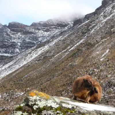 6 Days Mount Kenya Trekking via Burguret – Chogoria Route