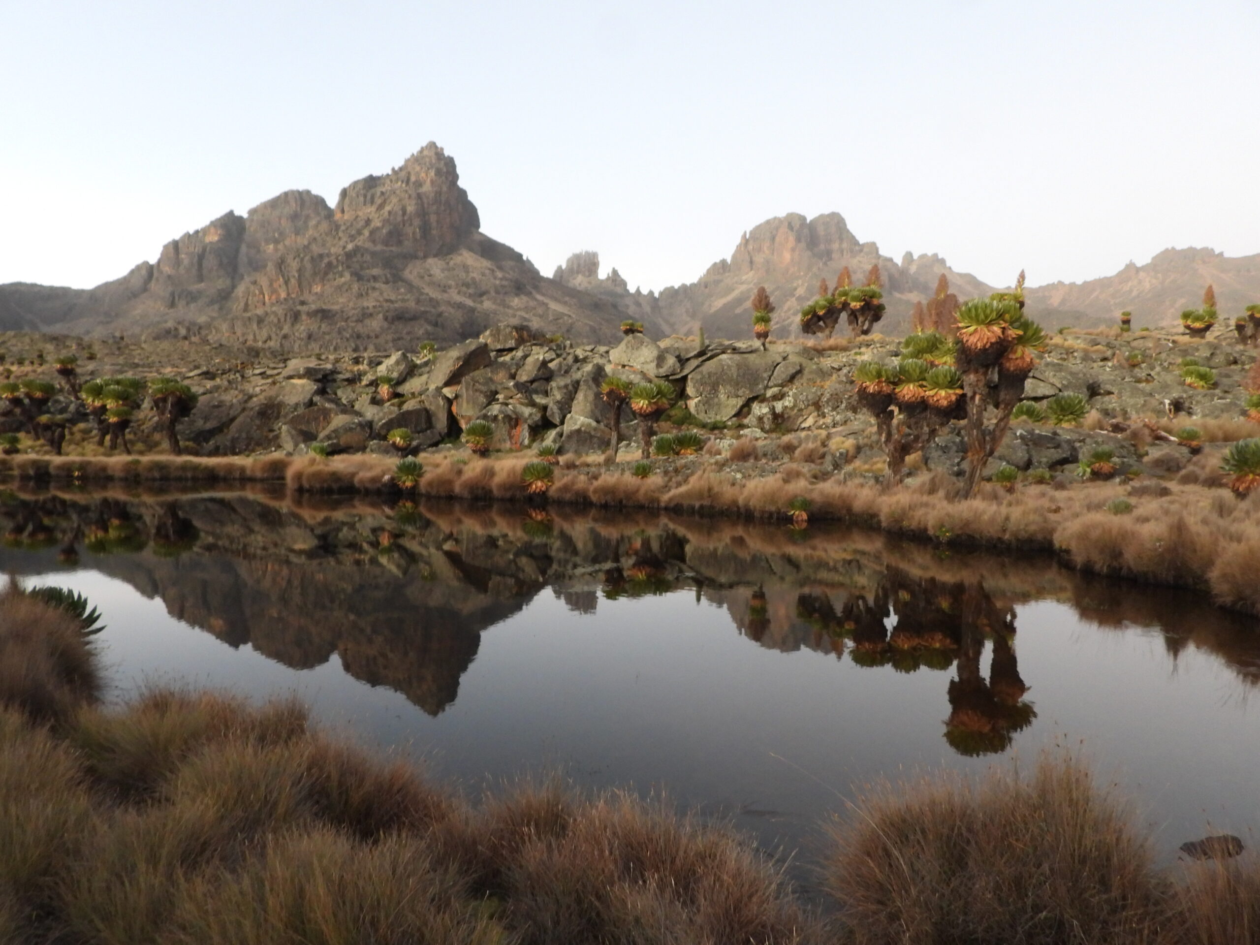 Hall Tarns on Mount Kenya’s Chogoria Route with reflections of Batian and Nelion peaks in still alpine waters Hall Tarns on Mount Kenya’s Chogoria Route with reflections of Batian and Nelion peaks in still alpine waters