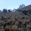 IMG-20220430-WA0016