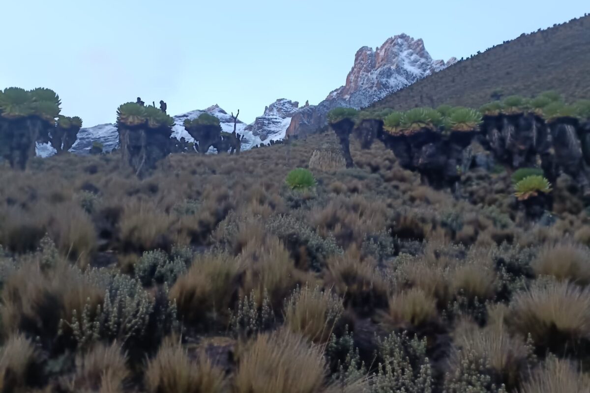 IMG-20220430-WA0016