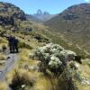 A Complete Guide to the Sirimon Route on Mount Kenya