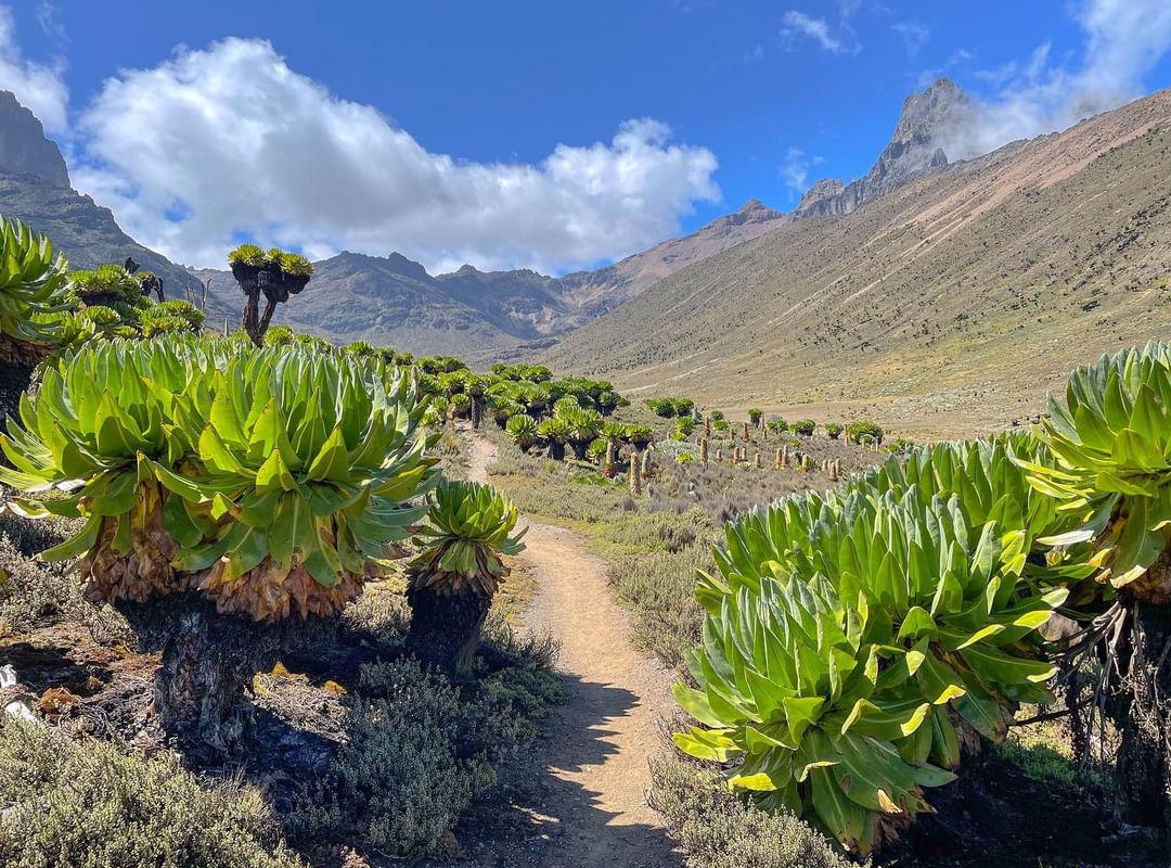 4 Days Mount Kenya trek