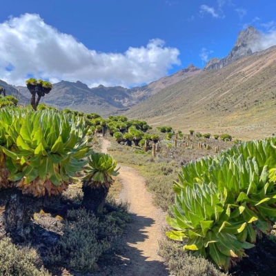 4 Days Mount Kenya trek