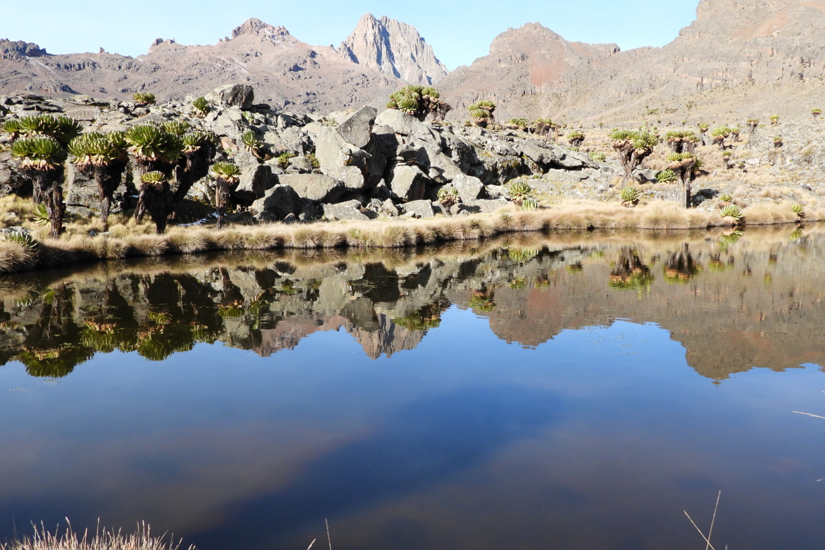 5 Days Mount Kenya Trek Via Chogoria Route