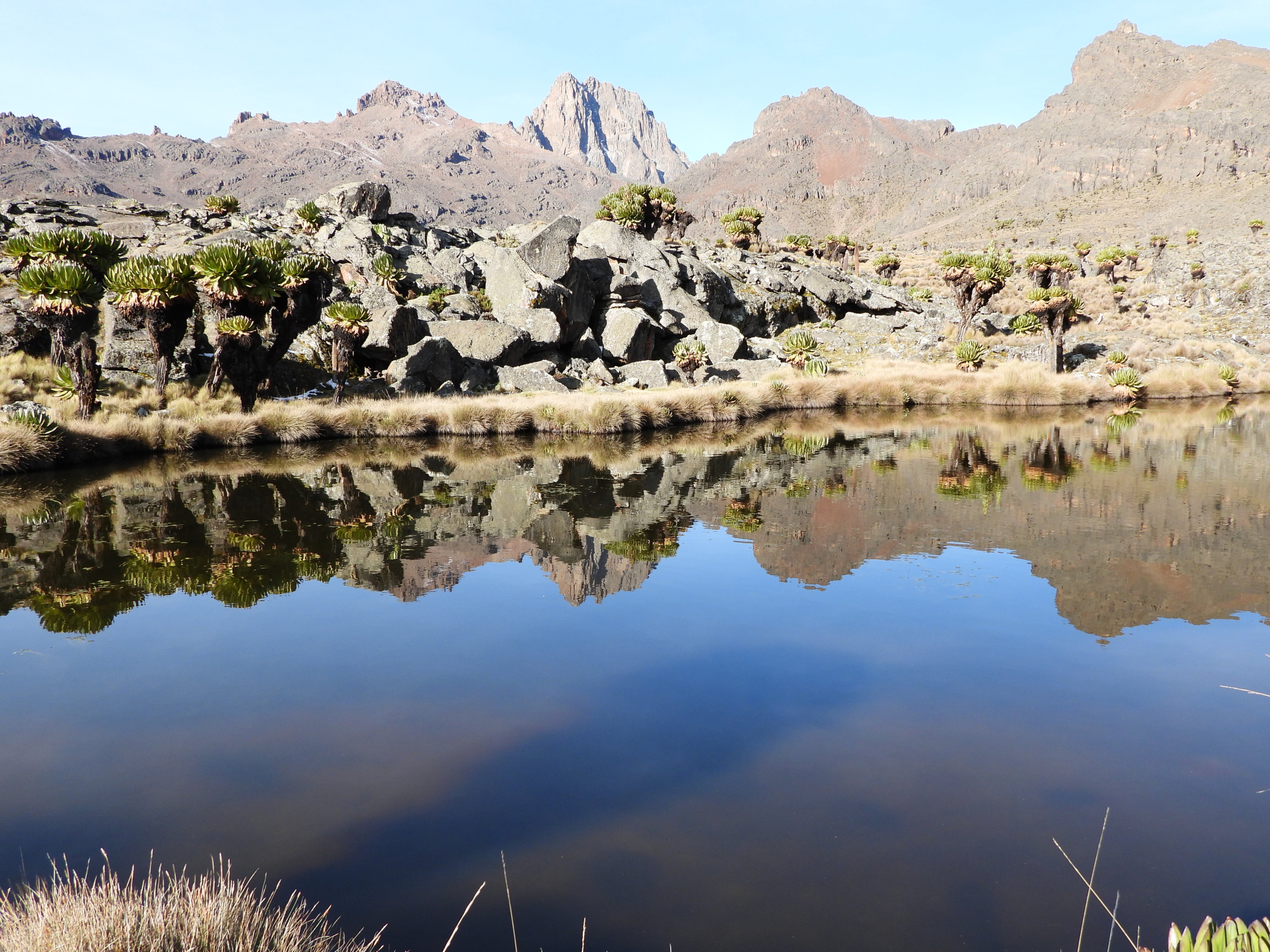 5 Days Mount Kenya Trek Via Chogoria Route