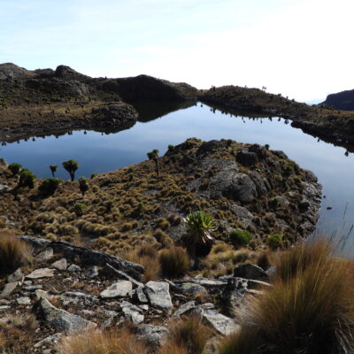 6 Days Mount Kenya Trekking via Sirimon  – Chogoria  Route