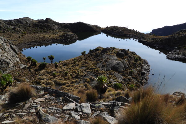 6 Days Mount Kenya Trekking via Sirimon  – Chogoria  Route