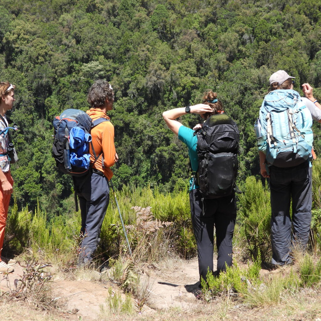 Four trekkers with backpacks pause to admire the dense rainforest landscape on Mount Kenya’s Sirimon route