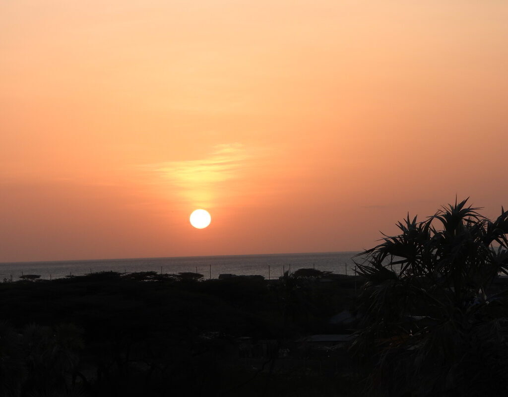 Sunset over Lake Turkana from Loiyangalani with doum palm silhouette — the Jade Sea at golden hour on a Northern Kenya Tour