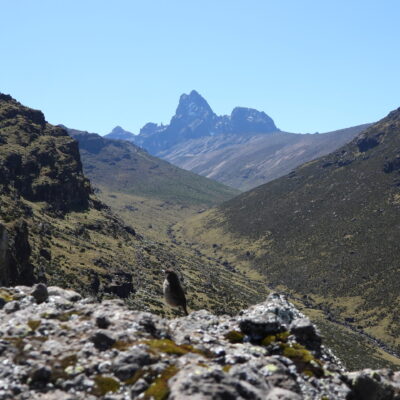 6 Days Mount Kenya Trekking via Sirimon Route
