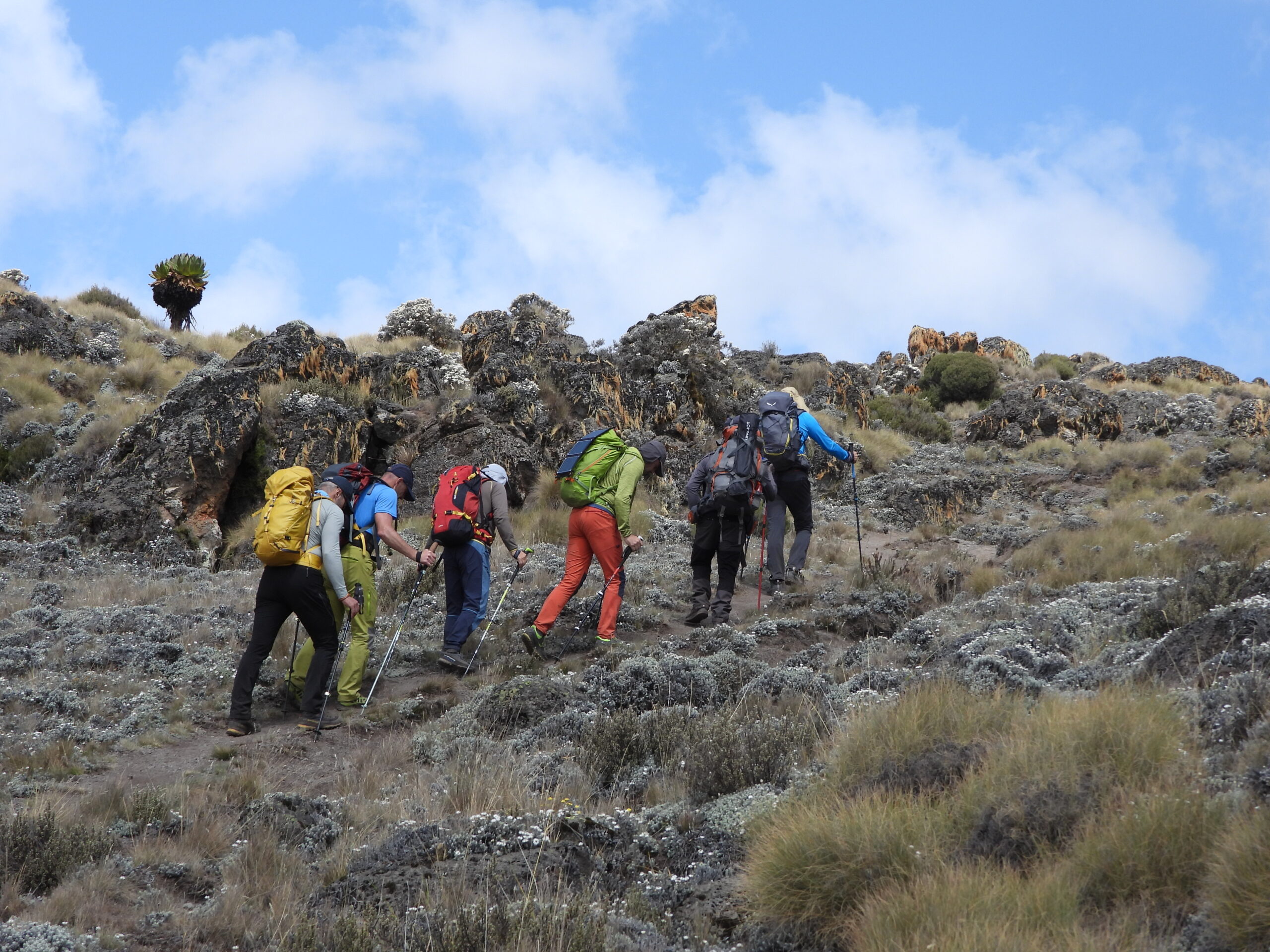 Mount Kenya Group Treks (2) Mount Kenya Group Treks (2)