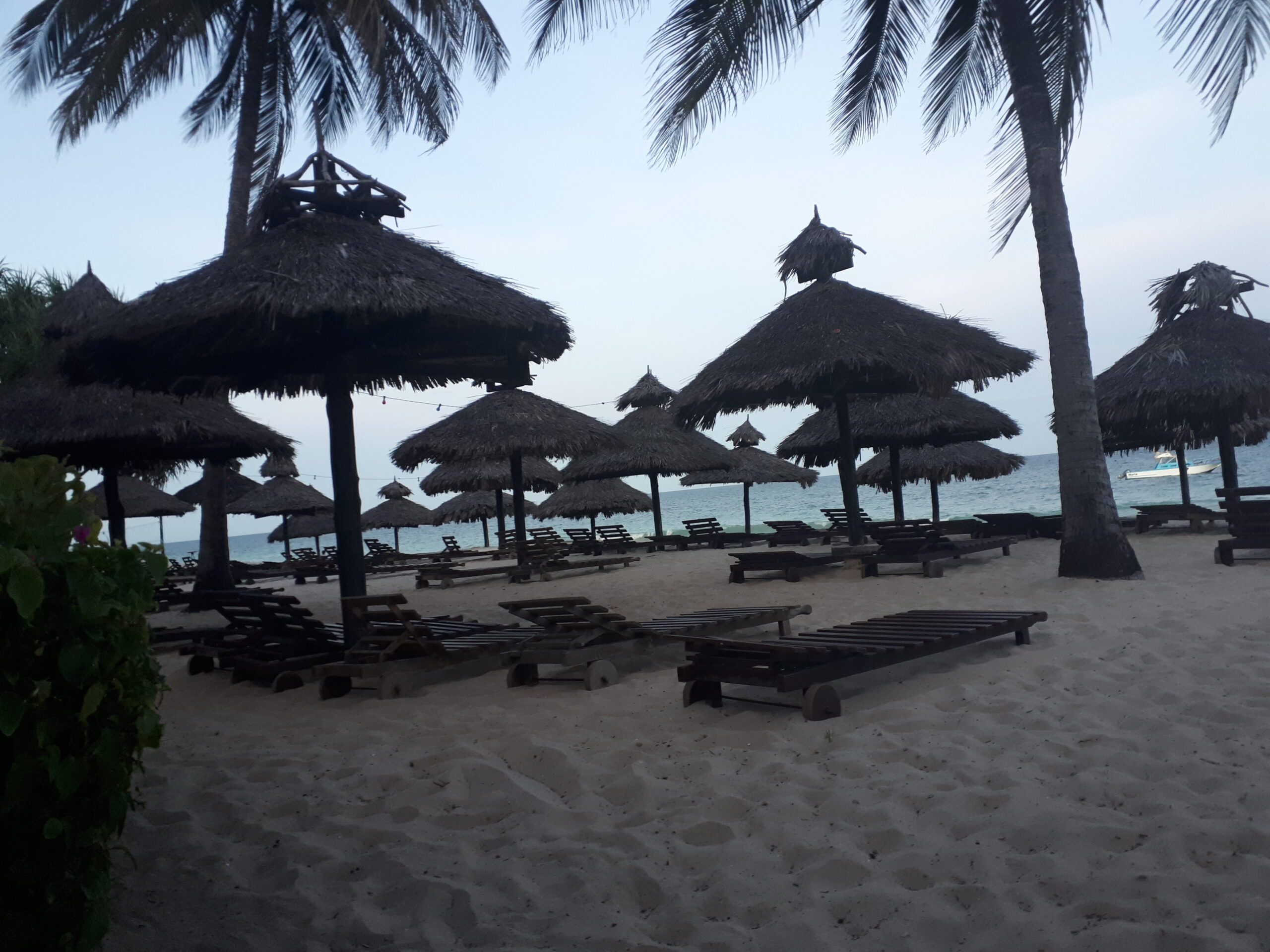 Diani Beach Thatched sunshades and loungers on Diani Beach with palm trees and turquoise Indian Ocean waters under a calm sky