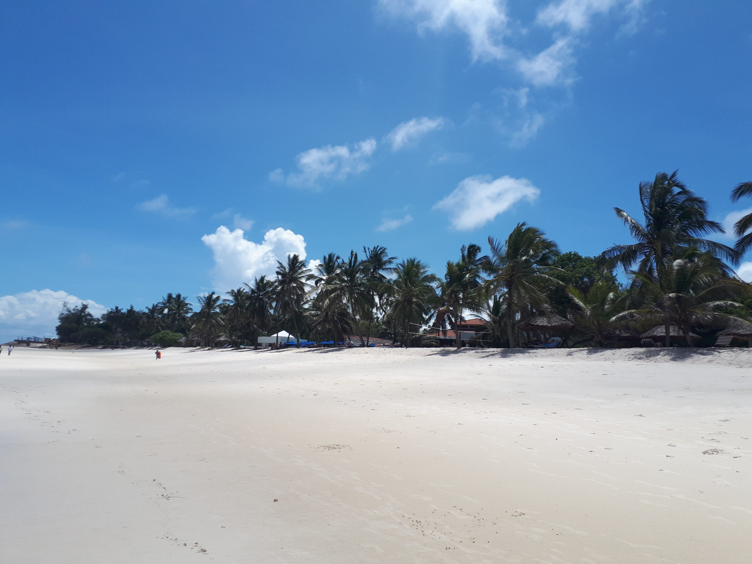 diani-beach-white-sand-shoreline-ahambi-tours diani-beach-white-sand-shoreline-ahambi-tours