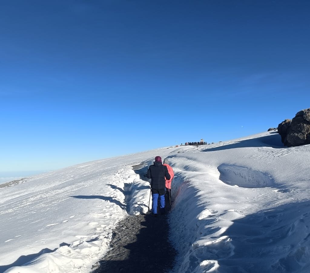 Trekkers climbing the snowy summit ridge of Mount Kilimanjaro near Uhuru Peak under a bright blue sky, during the Machame Route ascent